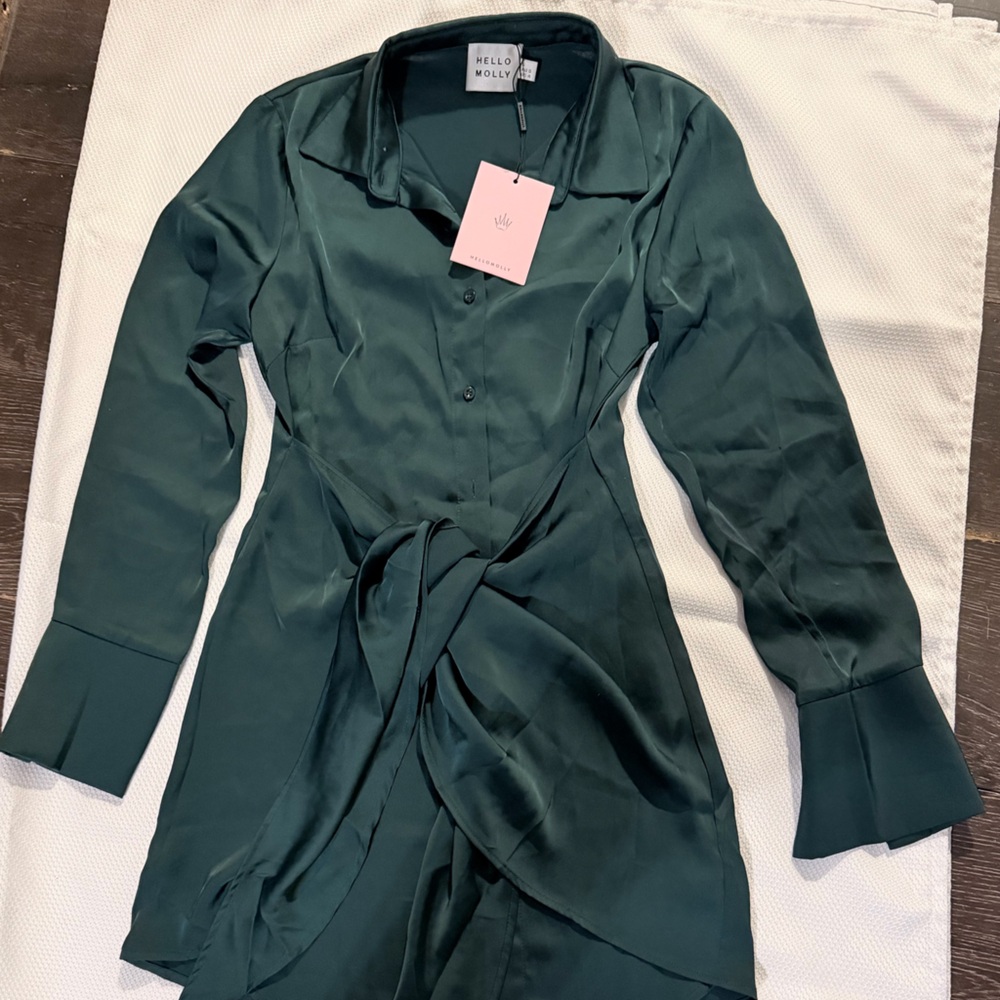 Hello Molly Forest Green Satin Shirt Dress - Picture 8 of 8